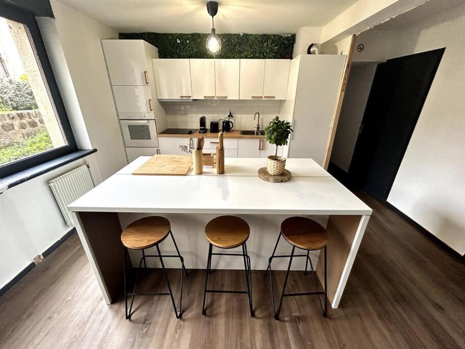 Le Puy En Velay - Appartement Grand Confort Zewnętrze zdjęcie